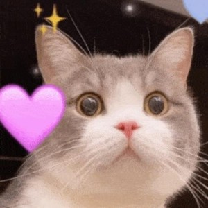 社畜点唱机资料,社畜点唱机最新歌曲,社畜点唱机MV视频,社畜点唱机音乐专辑,社畜点唱机好听的歌