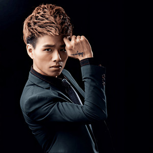 王林 - 谁让我爱上了你