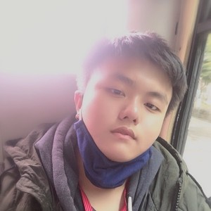 鹦鹉
