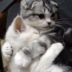 唐诗雨资料,唐诗雨最新歌曲,唐诗雨MV视频,唐诗雨音乐专辑,唐诗雨好听的歌