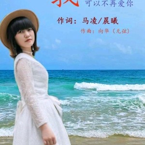 梨花颂 (COVER版)