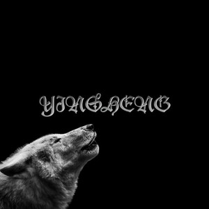 YINSHENG资料,YINSHENG最新歌曲,YINSHENGMV视频,YINSHENG音乐专辑,YINSHENG好听的歌