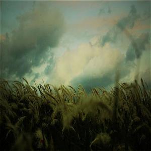 Yusuke Tsutsumi资料,Yusuke Tsutsumi最新歌曲,Yusuke TsutsumiMV视频,Yusuke Tsutsumi音乐专辑,Yusuke Tsutsumi好听的歌