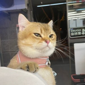 蒋翰资料,蒋翰最新歌曲,蒋翰MV视频,蒋翰音乐专辑,蒋翰好听的歌