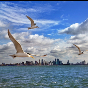 黎达勇资料,黎达勇最新歌曲,黎达勇MV视频,黎达勇音乐专辑,黎达勇好听的歌