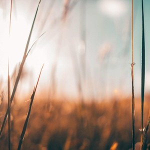Deep Sleep Meditation资料,Deep Sleep Meditation最新歌曲,Deep Sleep MeditationMV视频,Deep Sleep Meditation音乐专辑,Deep Sleep Meditation好听的歌
