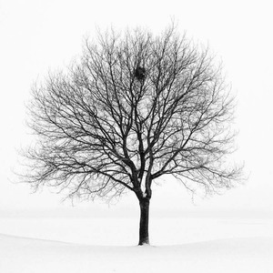 付遮书资料,付遮书最新歌曲,付遮书MV视频,付遮书音乐专辑,付遮书好听的歌