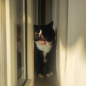 画棠资料,画棠最新歌曲,画棠MV视频,画棠音乐专辑,画棠好听的歌