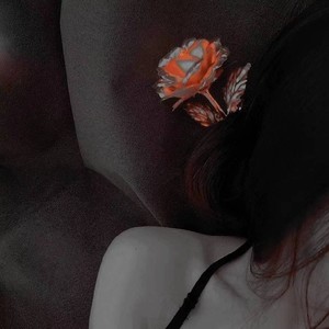 泡泡资料,泡泡最新歌曲,泡泡MV视频,泡泡音乐专辑,泡泡好听的歌