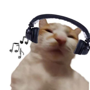 ICEDMANE资料,ICEDMANE最新歌曲,ICEDMANEMV视频,ICEDMANE音乐专辑,ICEDMANE好听的歌