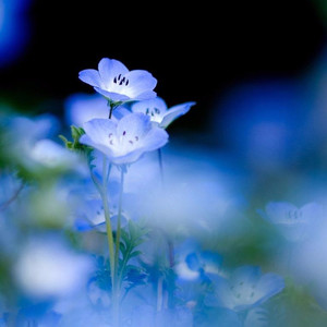 嘀点点宝贝资料,嘀点点宝贝最新歌曲,嘀点点宝贝MV视频,嘀点点宝贝音乐专辑,嘀点点宝贝好听的歌