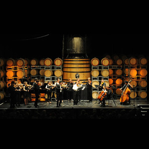 ANAM Chamber Orchestra