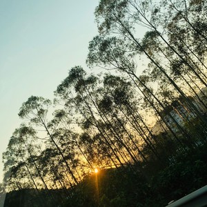 魏小饱资料,魏小饱最新歌曲,魏小饱MV视频,魏小饱音乐专辑,魏小饱好听的歌