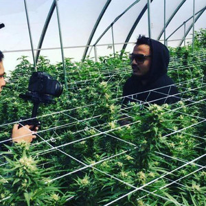 Dank Puffs资料,Dank Puffs最新歌曲,Dank PuffsMV视频,Dank Puffs音乐专辑,Dank Puffs好听的歌