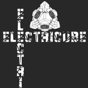 ElectRicubE