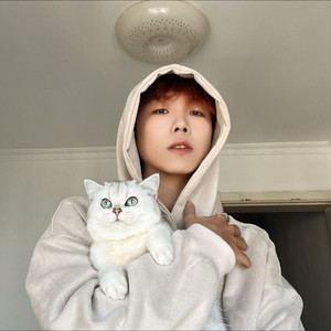 王依然资料,王依然最新歌曲,王依然MV视频,王依然音乐专辑,王依然好听的歌