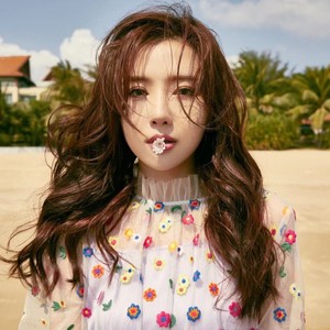名为真相的幻影