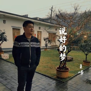 王峰资料,王峰最新歌曲,王峰MV视频,王峰音乐专辑,王峰好听的歌