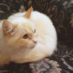 只佛资料,只佛最新歌曲,只佛MV视频,只佛音乐专辑,只佛好听的歌