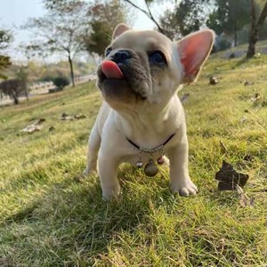 不具名资料,不具名最新歌曲,不具名MV视频,不具名音乐专辑,不具名好听的歌