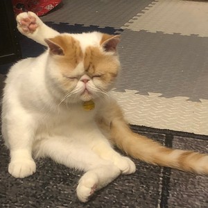 李云飞资料,李云飞最新歌曲,李云飞MV视频,李云飞音乐专辑,李云飞好听的歌