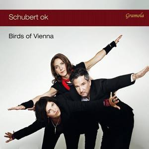 Birds of Vienna资料,Birds of Vienna最新歌曲,Birds of ViennaMV视频,Birds of Vienna音乐专辑,Birds of Vienna好听的歌