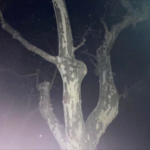 Cara乱糟糟资料,Cara乱糟糟最新歌曲,Cara乱糟糟MV视频,Cara乱糟糟音乐专辑,Cara乱糟糟好听的歌
