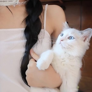 甜了个蜜.资料,甜了个蜜.最新歌曲,甜了个蜜.MV视频,甜了个蜜.音乐专辑,甜了个蜜.好听的歌