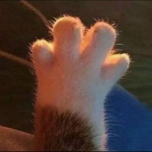 星月神话 (K歌版)