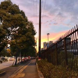 591.资料,591.最新歌曲,591.MV视频,591.音乐专辑,591.好听的歌