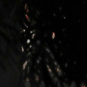 Domino: Part I - In The Glow Of The Night / Part i