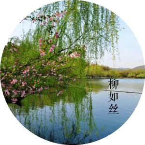 柳如丝资料,柳如丝最新歌曲,柳如丝MV视频,柳如丝音乐专辑,柳如丝好听的歌