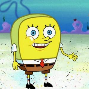 大海绵资料,大海绵最新歌曲,大海绵MV视频,大海绵音乐专辑,大海绵好听的歌