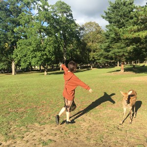 sasa资料,sasa最新歌曲,sasaMV视频,sasa音乐专辑,sasa好听的歌