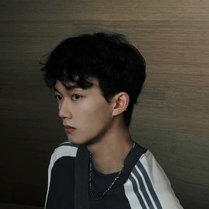 罗圭甫资料,罗圭甫最新歌曲,罗圭甫MV视频,罗圭甫音乐专辑,罗圭甫好听的歌