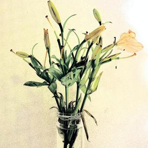 Autumn资料,Autumn最新歌曲,AutumnMV视频,Autumn音乐专辑,Autumn好听的歌