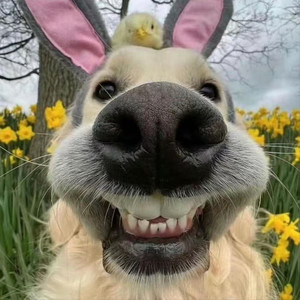 玉腚哥哥资料,玉腚哥哥最新歌曲,玉腚哥哥MV视频,玉腚哥哥音乐专辑,玉腚哥哥好听的歌