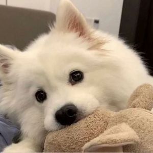 今天你要嫁给我