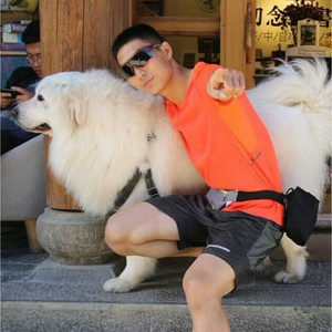 是晨训呀资料,是晨训呀最新歌曲,是晨训呀MV视频,是晨训呀音乐专辑,是晨训呀好听的歌