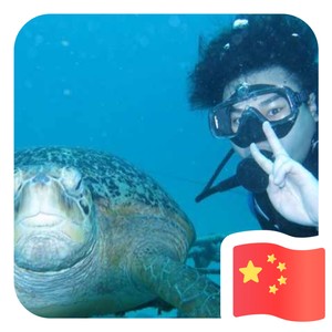 小智资料,小智最新歌曲,小智MV视频,小智音乐专辑,小智好听的歌
