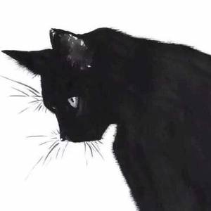 汤圆 - 兄弟难当