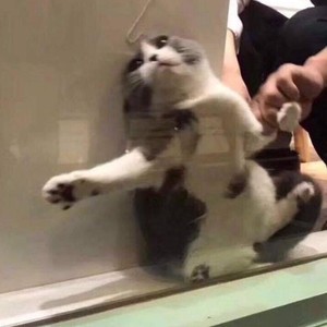 Eyyeyy资料,Eyyeyy最新歌曲,EyyeyyMV视频,Eyyeyy音乐专辑,Eyyeyy好听的歌