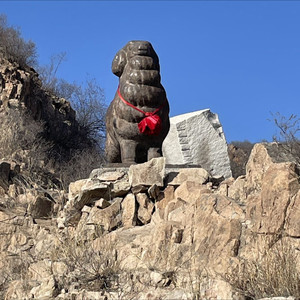 头羊资料,头羊最新歌曲,头羊MV视频,头羊音乐专辑,头羊好听的歌