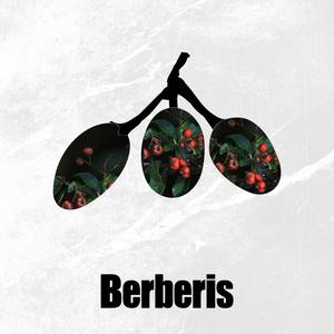 Frank Leicher资料,Frank Leicher最新歌曲,Frank LeicherMV视频,Frank Leicher音乐专辑,Frank Leicher好听的歌