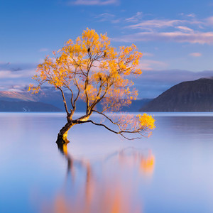 牧歌001资料,牧歌001最新歌曲,牧歌001MV视频,牧歌001音乐专辑,牧歌001好听的歌