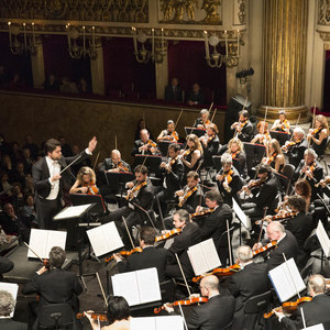 Orchestra del Teatro di San Carlo