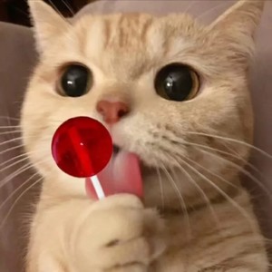 蟹蟹资料,蟹蟹最新歌曲,蟹蟹MV视频,蟹蟹音乐专辑,蟹蟹好听的歌