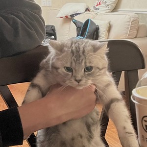 球王MarcoLius资料,球王MarcoLius最新歌曲,球王MarcoLiusMV视频,球王MarcoLius音乐专辑,球王MarcoLius好听的歌