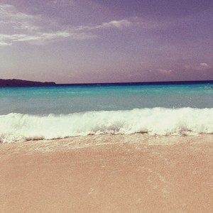 浅夏资料,浅夏最新歌曲,浅夏MV视频,浅夏音乐专辑,浅夏好听的歌