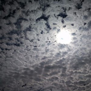 starry资料,starry最新歌曲,starryMV视频,starry音乐专辑,starry好听的歌